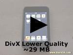 DivX Lower Quality ~29 MB